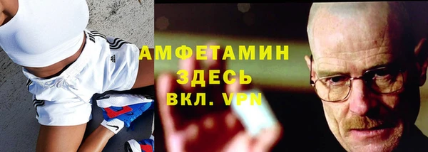 сатива Вязьма