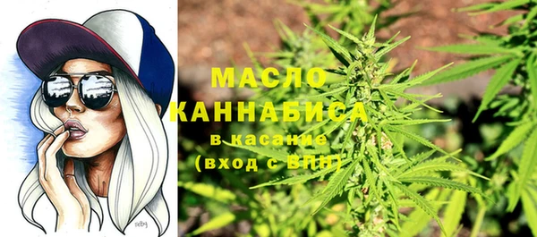 молекула духа Михайловск