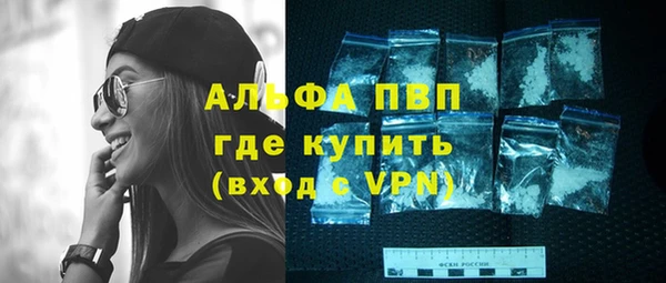 СК Волоколамск