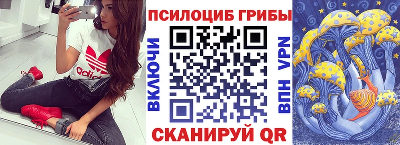 купить наркотик  Кропоткин  Псилоцибиновые грибы Psilocybe 