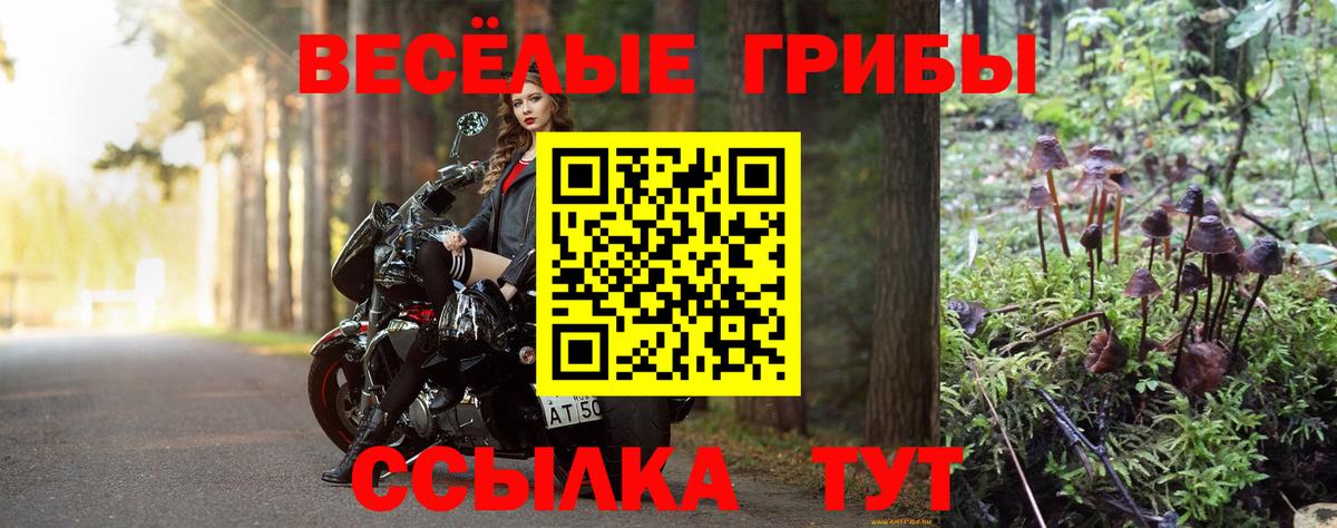 Кропоткин  Галлюциногенные грибы ЛСД  Вход с VPN 